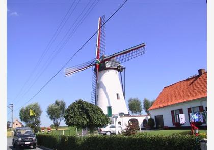 Brugse Ommeland: Molenland, waar molens het uitzicht bepalen