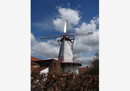 Brugse Ommeland: Molenland, waar molens het uitzicht bepalen