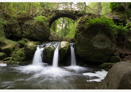 Bezoek het veelzijdige Mullerthal in Luxemburg 