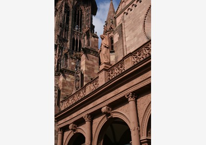 Freiburg: Münsterplatz en Münsterkerk 