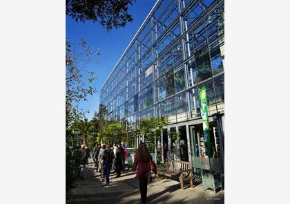 Leiden, musea mét grote waarde