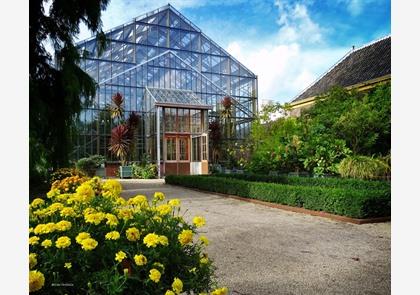 Leiden, musea mét grote waarde