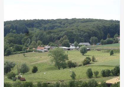 Vlaamse Ardennen: wandelen in het Muziekbos