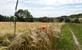 Vlaamse Ardennen: wandelen in het Muziekbos