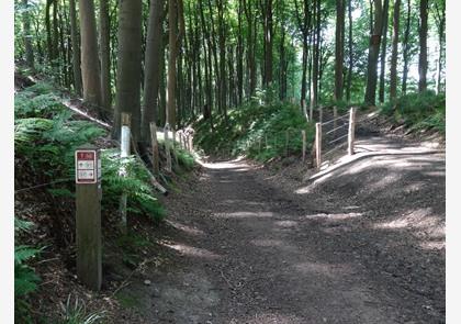 Vlaamse Ardennen: wandelen in het Muziekbos