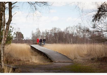 Noord-Brabant: trek de natuur in