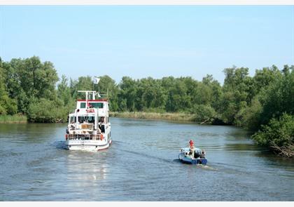 Noord-Brabant: trek de natuur in