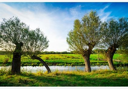 Noord-Brabant: trek de natuur in