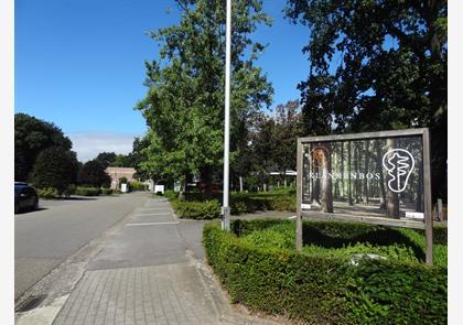 Neerpelt, groen en bezienswaardigheden in de omgeving