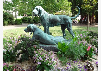 Nogent-le-Rotrou: mooie hoofstad van de Perche 