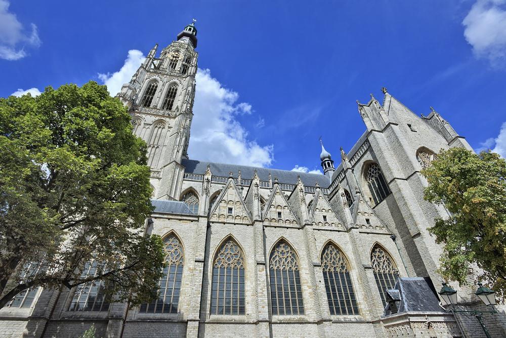 Net Binnen Meest recente nieuws van EDnl