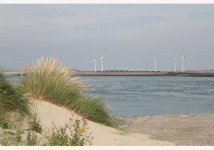 Oosterscheldekering: over Neeltje Jans en andere Deltawerken