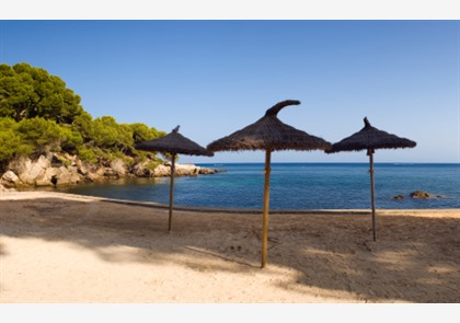 Geniet van zon, zee en cultuur in Palma de Mallorca