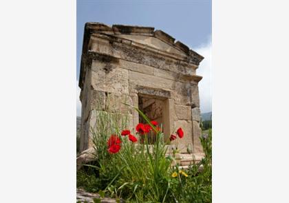 Combineer een archeologisch bezoek met een 'waterval van terrassen' in Pamukkale en Hierapolis