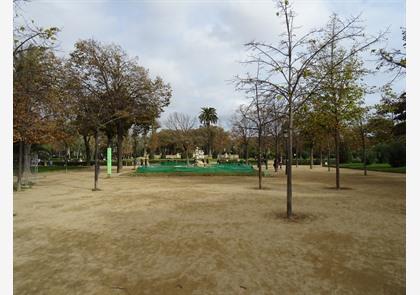 Parc de la Ciutadella, populaire groene plek in Barcelona