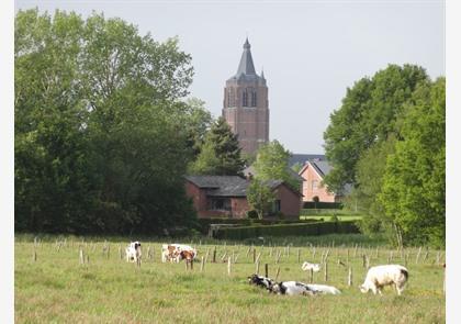 In Peer vind je de 'reus der Kempen'  