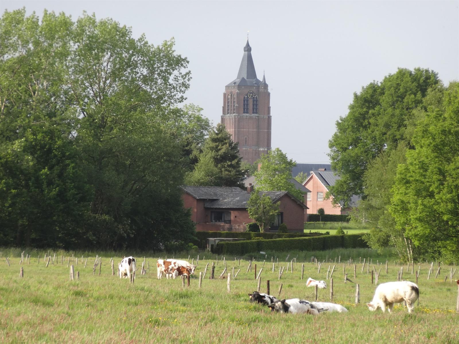 Afbeeldingsresultaat voor stad peer