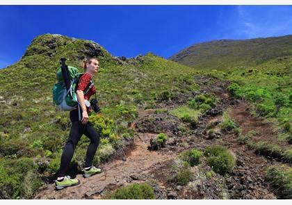 Ontdek het Azoreneiland Pico, praktische info en tips
