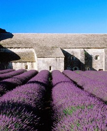 Reisgids Provence