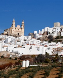 Reisgids Andalusië: met 6 stadswandelingen en complete rondreis