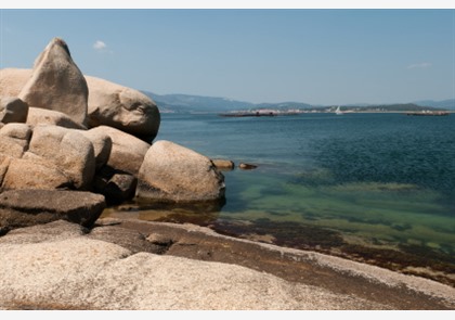 Ria de Arousa: de flora en fauna van Galicië 