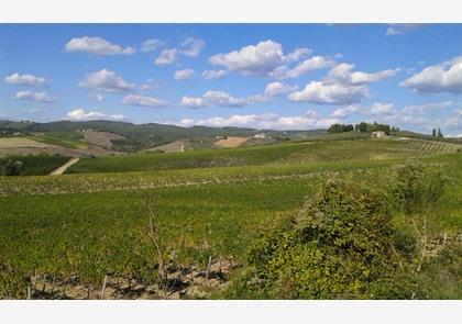 Rondreis Toscane hoogtepunten met alle bezienswaardigheden