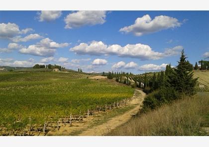 Rondreis Toscane hoogtepunten met alle bezienswaardigheden