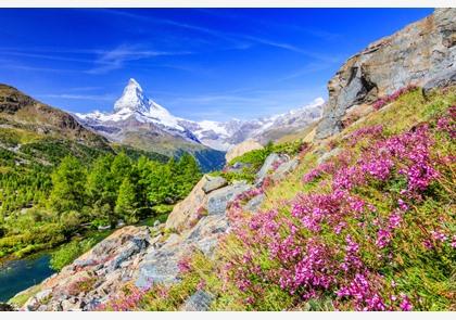 Rondreis Zwitserland: een héérlijke combinatie van natuur en ontspanning