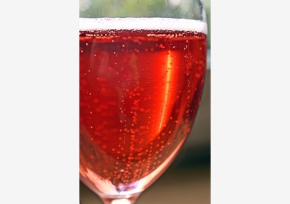Champagne: rosé uit Les Riceys 