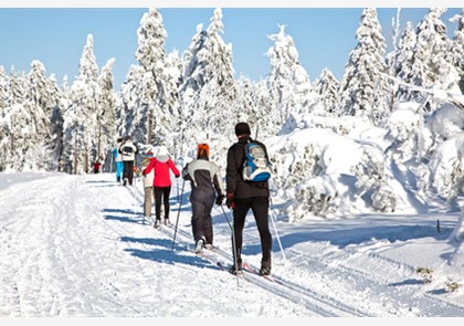 Wintersport Sankt-Moritz: Droombestemming 