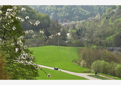 Schwarzwald Hochstrasse: rijplezier met bezienswaardigheden 