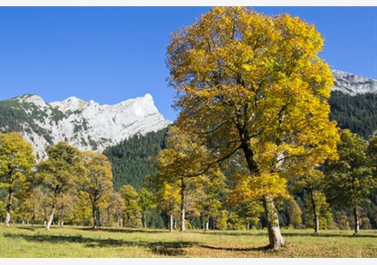 Schwaz: een rijk verleden