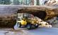 Verken Sequoia National Park aan de USA Westkust