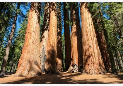 Verken Sequoia National Park aan de USA Westkust