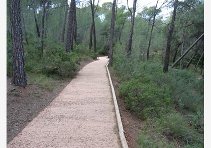 Natuurpark Sierra Espuña in regio Murcia