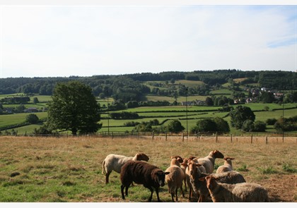 Spa: kuuroord middenin de Ardennen 