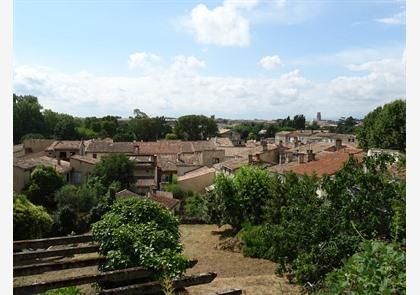 Stadswandeling Carcassonne