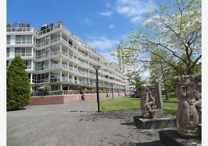 Stadswandeling Den Haag