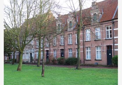 Dendermonde: Stadswandeling 