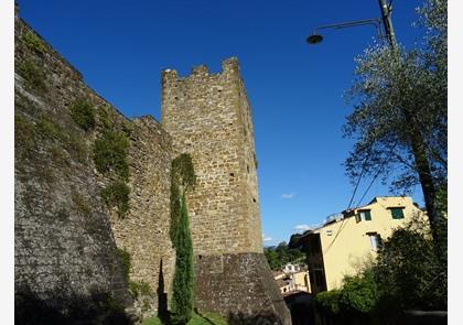 Stadswandeling Firenze langs paleizen en kerken en nog zoveel meer 