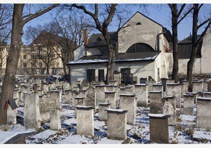 Stadswandeling Krakau, de mooiste wandelingen Krakau