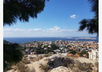 Stadswandeling Marseille: van laag (Vieux Port) naar hoog (basiliek)