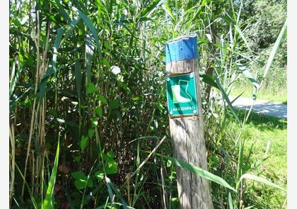 Waasland: Stekene, het Stropersbos, een bekende vos en zijsprongetje naar Hulst