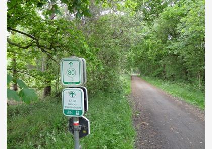 Waasland: Stekene, het Stropersbos, een bekende vos en zijsprongetje naar Hulst