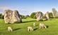 Stonehenge bezoeken vanuit Londen? Georganiseerde tours, entreekaarten én praktische informatie