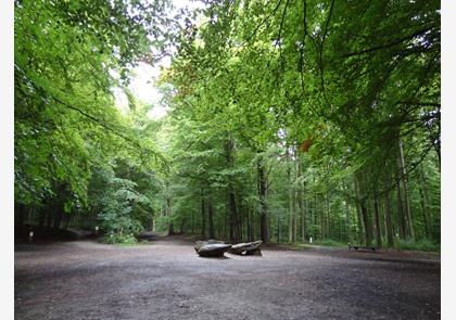 Tervuren: bezoek aan Warandepark en AfricaMuseum 