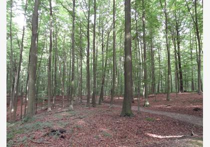 Tervuren: bezoek aan Warandepark en AfricaMuseum 