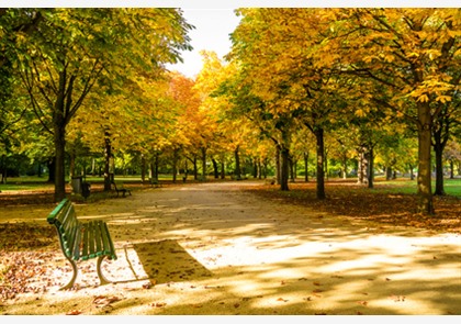Tiergarten: de groene long van Berlijn