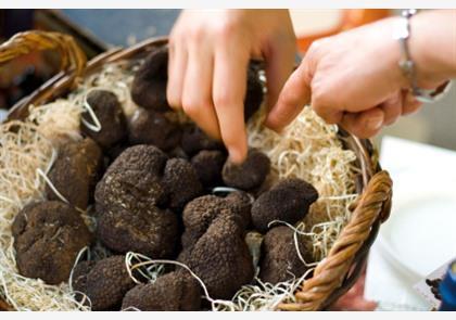 Drôme Provençale: de truffels van Tricastin