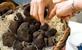 Drôme Provençale: de truffels van Tricastin